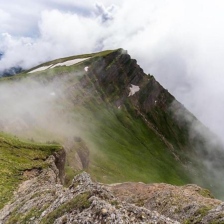 Gruenes Allgaeu Simon Held Opfenbach Exteriér fotografie