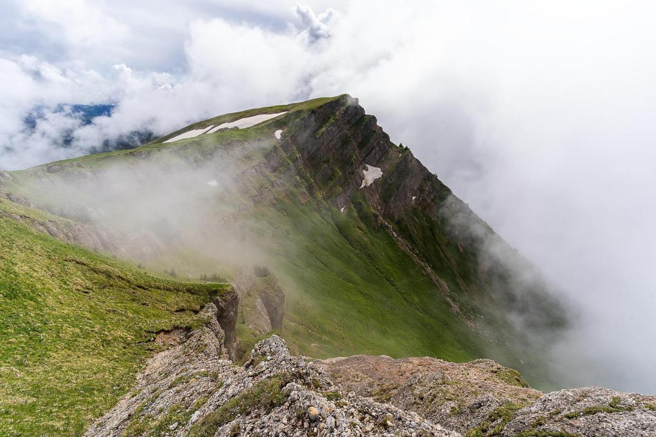 Gruenes Allgaeu Simon Held Opfenbach Exteriér fotografie
